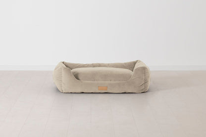 Bone Image 01 - K9 02 Medium Front View