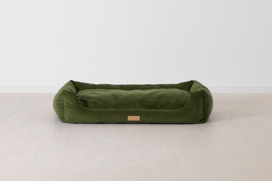 Vine Image 01 - K9 02 Large Front View